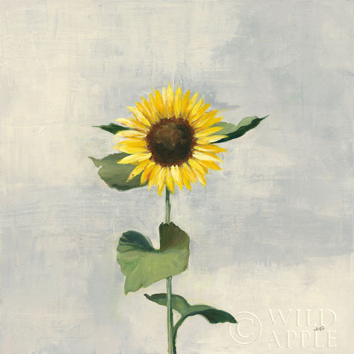 Sunny Blooms II Poster Print by Julia Purinton # 62196
