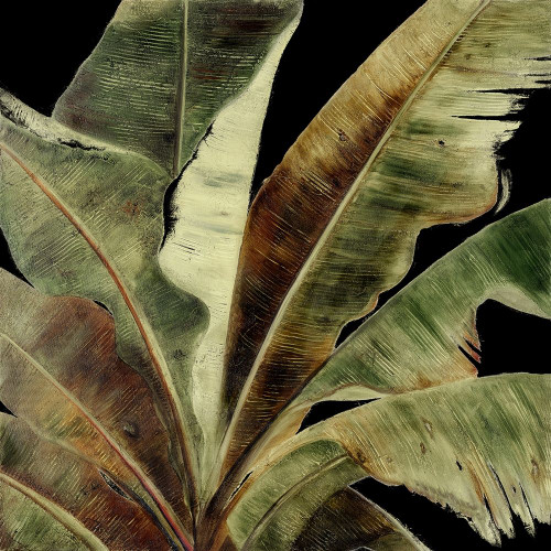 Uraba Palm on Black I Poster Print by Patricia Pinto # 6144M