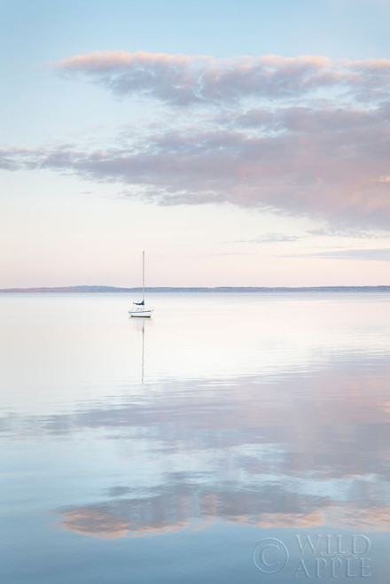 Sailboat in Bellingham Bay II Poster Print by Alan Majchrowicz # 61440