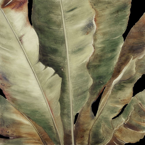 Uraba Palm on Black II Poster Print by Patricia Pinto # 6145M