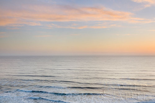 Del Norte Coast Poster Print by Alan Majchrowicz # 61454
