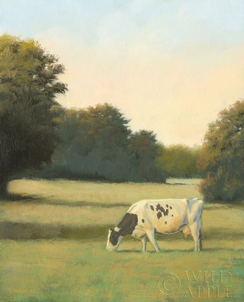 Morning Meadows I Poster Print by James Wiens # 61489