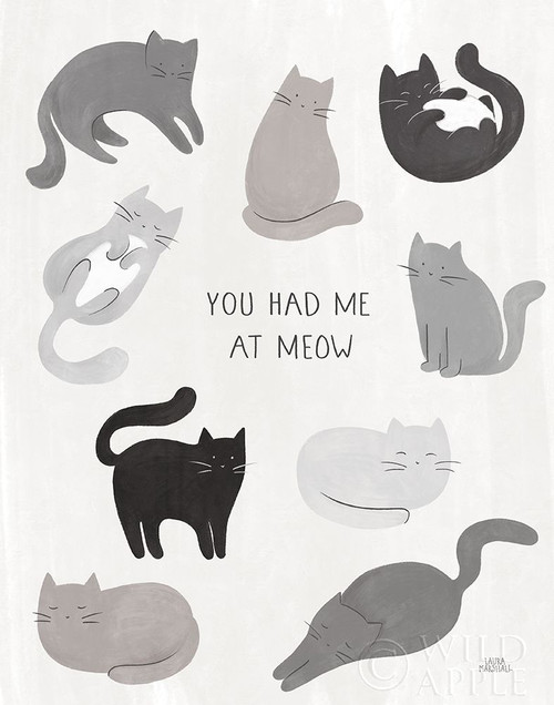 You Had Me at Meow Poster Print by Laura Marshall # 61157
