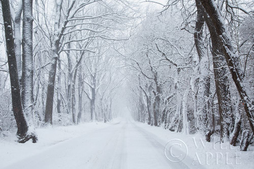 Going Home Poster Print by Aledanda Aledanda # 60994