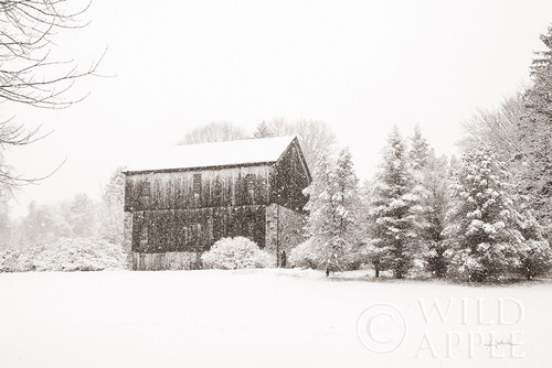 First Snow BW Crop Poster Print by Aledanda Aledanda # 60966
