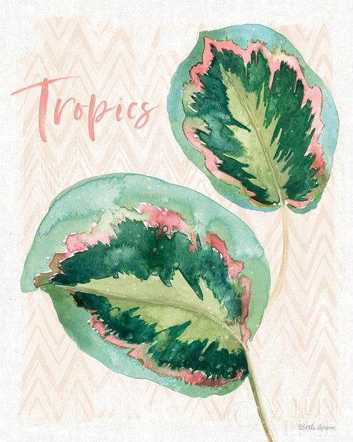 From the Jungle XI Poster Print by Beth Grove # 60708