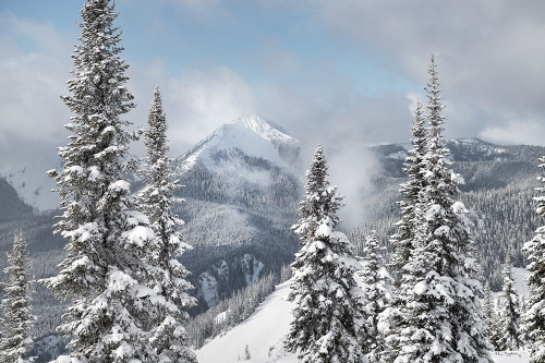 North Cascades in Winter I Poster Print by Alan Majchrowicz # 60621