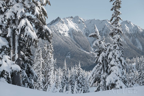 Nooksack Ridge in Winter Poster Print by Alan Majchrowicz # 60625