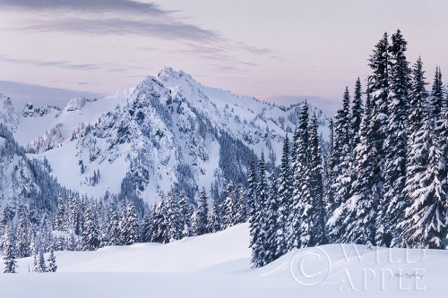 Tatoosh Range Poster Print by Alan Majchrowicz # 60626