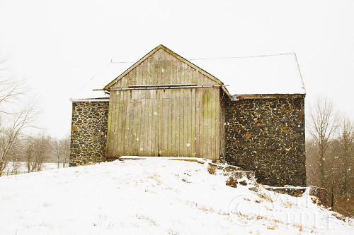 Majestic in the Snow Poster Print by Aledanda Aledanda # 60532