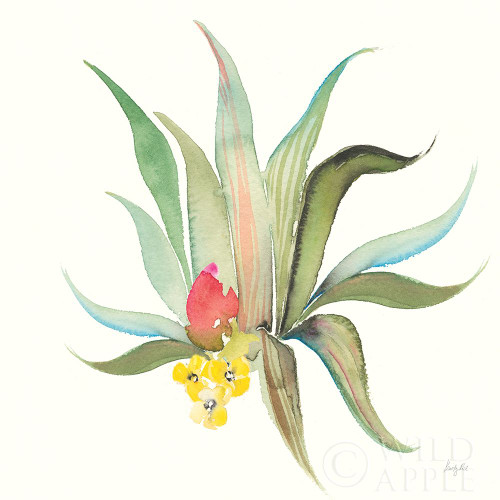 Succulent Desert V Poster Print by Kristy Rice # 59788