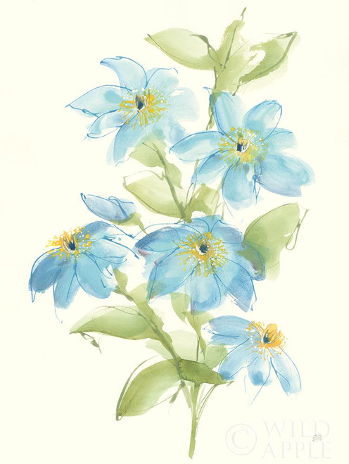 Clematis Bouquet I Poster Print by Chris Paschke # 58336