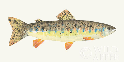 Angling in the Stream III Poster Print by Courtney Prahl # 58116