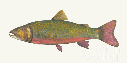 Angling in the Stream II Poster Print by Courtney Prahl # 58115