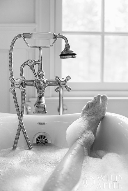 Bubble Bath II Poster Print by Aledanda Aledanda # 57993