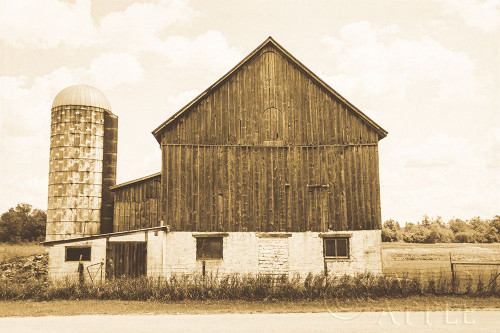 Weathered III Sepia Poster Print by Elizabeth Urquhart # 57696