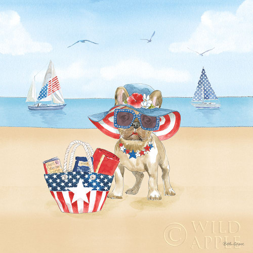 Summer Paws Patriotic IV Poster Print by Beth Grove # 57365