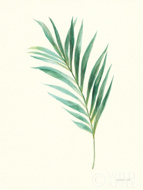 Leaf Study II Poster Print by Danhui Nai # 57437