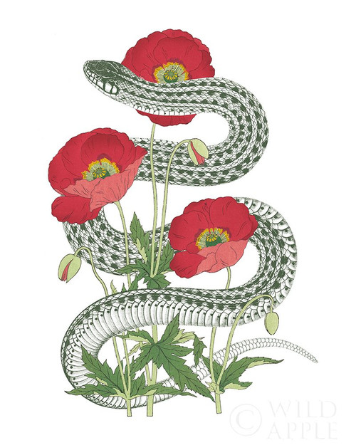 Natural Beauty II Poster Print by Wild Apple Portfolio Wild Apple Portfolio # 56875 Natural Beauty II Poster Print by Wild Apple Portfolio Wild Apple Portfolio # 56875