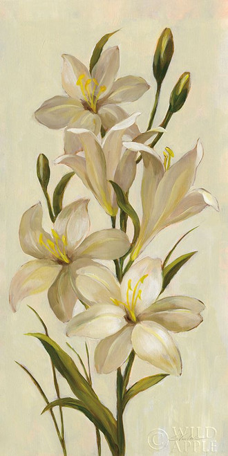 Elegant White Florals I Poster Print by Silvia Vassileva # 56804
