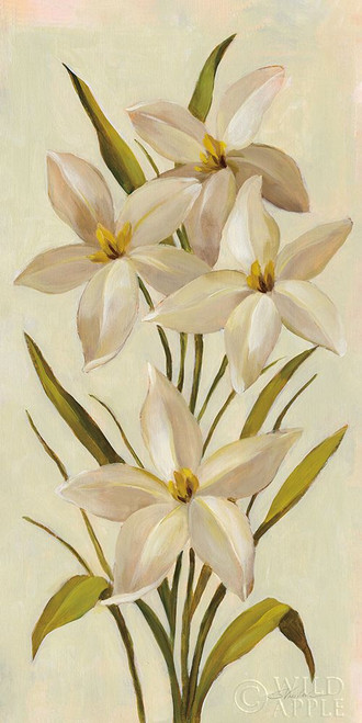 Elegant White Florals II Poster Print by Silvia Vassileva # 56805