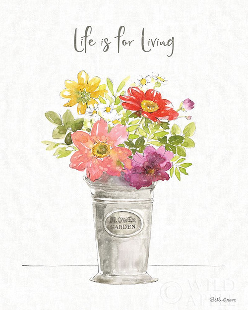 Farmhouse Floral IX Poster Print by Beth Grove # 56727