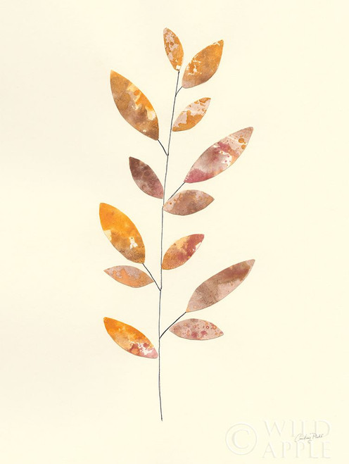 Natural Wonder V Poster Print by Courtney Prahl # 59396