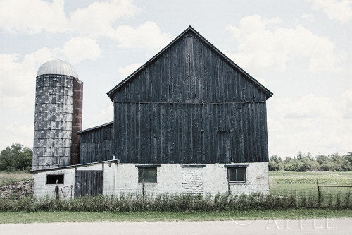 Weathered III Navy Wood Poster Print by Elizabeth Urquhart # 56049