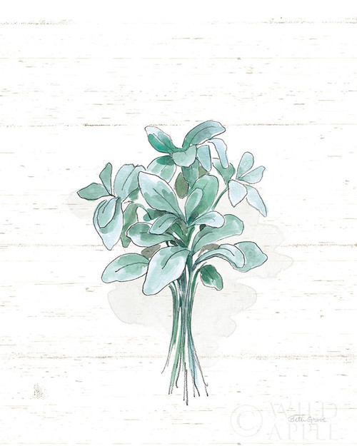 Pigeons Egg Head Poster Print by George Catlin # 56042