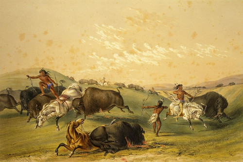 Buffalo Hunt, A Numerous Group Poster Print by George Catlin # 56043