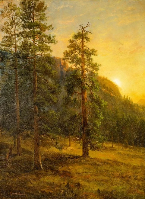 California Redwoods Poster Print by Albert Bierstadt # 55965