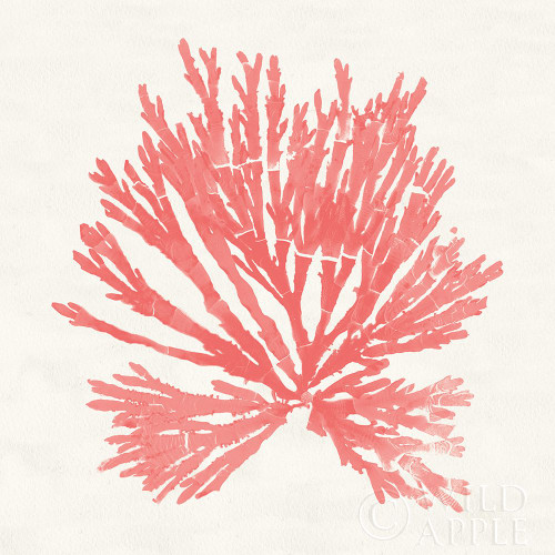 Pacific Sea Mosses II Coral Poster Print by Wild Apple Portfolio Wild Apple Portfolio # 55905 Pacific Sea Mosses II Coral Poster Print by Wild Apple Portfolio Wild Apple Portfolio # 55905