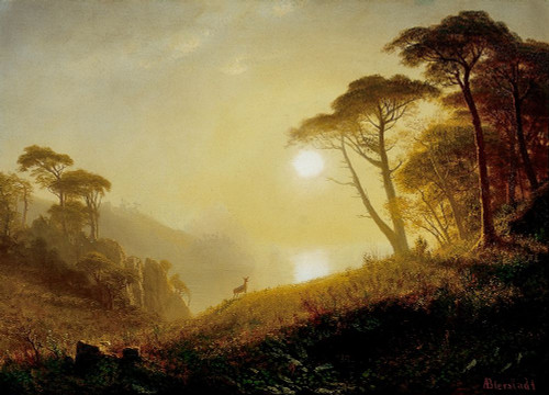 Scene in Yosemite Valley Poster Print by Albert Bierstadt # 55865