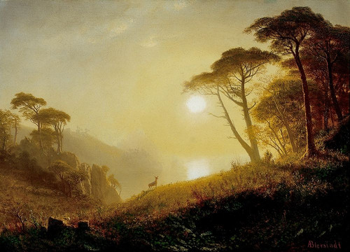 Scene in Yosemite Valley Poster Print by Albert Bierstadt # 55865