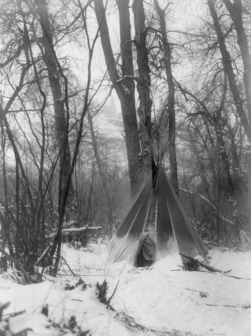 In the forest Poster Print by Edward Curtis # 55728