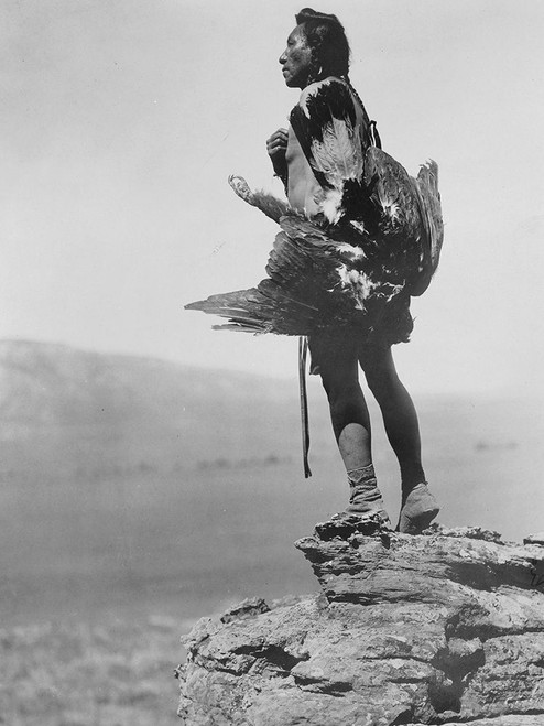 The eagle catcher Poster Print by Edward Curtis # 55733