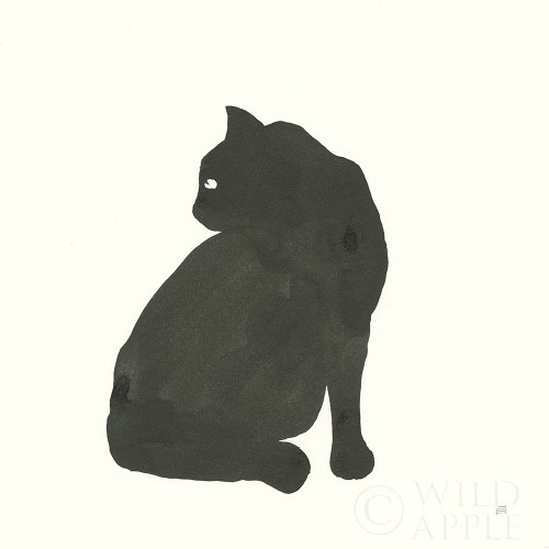 Black Cat IV Poster Print by Chris Paschke # 56272