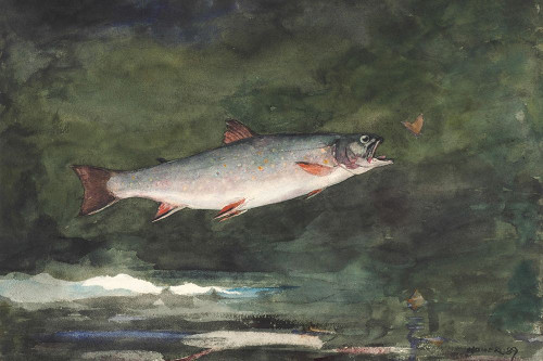 Leaping Trout Poster Print by Winslow Homer # 56208