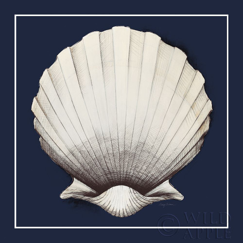 Coastal Shell II with Border Navy Poster Print by Avery Tillmon # 56157