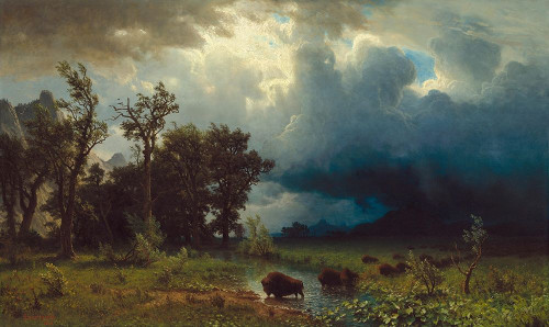 Buffalo Trail: The Impending Storm Poster Print by Albert Bierstadt # 55610