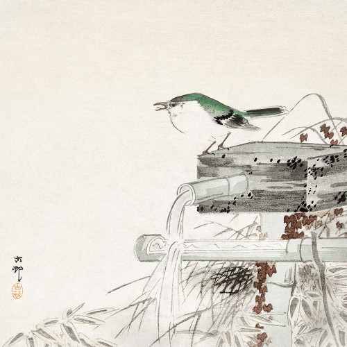 Blue nightingale Poster Print by Ohara Koson # 55346