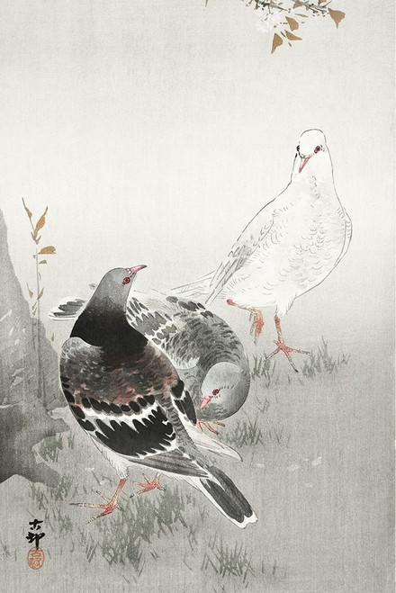Three pigeons Poster Print by Ohara Koson # 55348