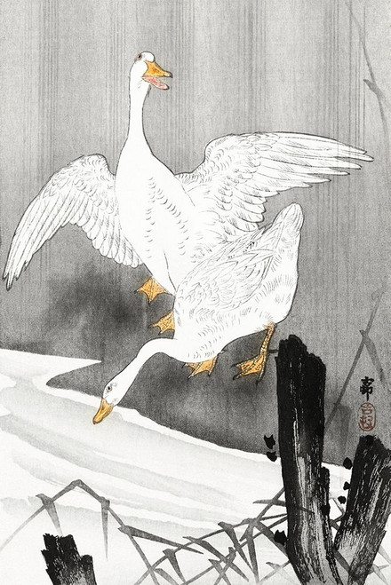 Two geese on a river Poster Print by Ohara Koson # 55307