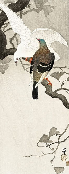 Two pigeons on a branch Poster Print by Ohara Koson # 55309