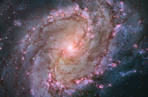Spiral Galaxy M83, Hubble Space Telescope Poster Print by NASA NASA # 55049