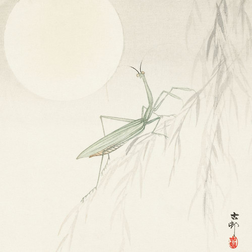 Praying mantis�_ Poster Print by Ohara Koson # 55227