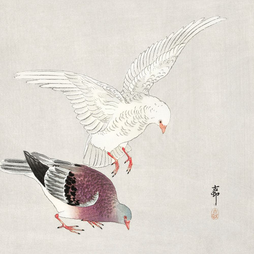 Two pigeons Poster Print by Ohara Koson # 55130