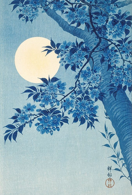 Blossoming Cherry on a Moonlit Night Poster Print by Ohara Koson # 55149