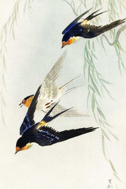 Three birds in full flight Poster Print by Ohara Koson # 55189