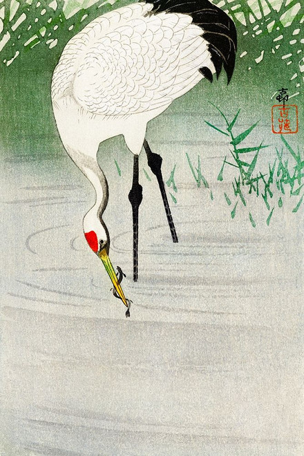 Fishing crane in shallow water Poster Print by Ohara Koson # 55210